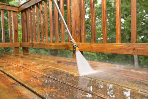 Best Roof Power Washing Services  in Naples, FL